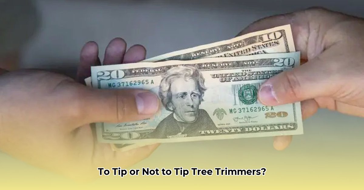do-you-tip-a-tree-trimmer